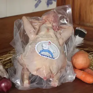 Bio-Suppenhenne, Bresse gauloises